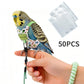 🦜✨ Bird Harness with Flight Leash – Safely Enjoy the Outdoors Together