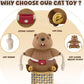 🐿️🐱 Interactive Groundhog Cat Toy – Endless Fun and Play! 🎉💖