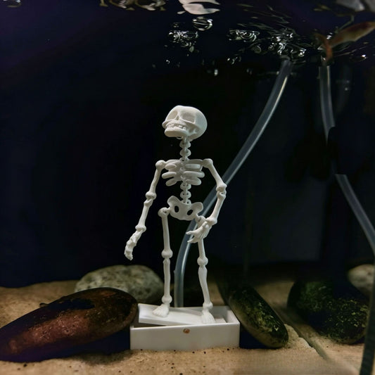 💀 Dancing Skeleton Aquarium Decoration