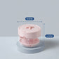 🦷✨ 3-in-1 Dental Appliance Storage Case