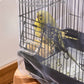 🐦✨ Bird Cage Mesh Cover – Greater Cleanliness and Comfort for Your Little Friend! 💚🏡