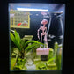 💀 Dancing Skeleton Aquarium Decoration