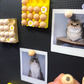 🥚 Imán de nevera con forma de huevo (2026) 🧲 Soporte para fotos y decoración