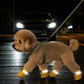 🐶 Winter Dog Boots – Set of 4 Non-Slip Dog Shoes