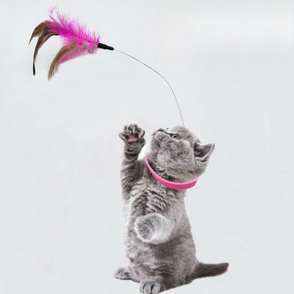 🐱 Collar para gatos 2026 con pluma y cascabel 🎀 Juguete interactivo de autoentretenimiento para gatos