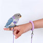 🦜✨ Bird Harness with Flight Leash – Safely Enjoy the Outdoors Together