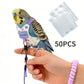🦜✨ Bird Harness with Flight Leash – Safely Enjoy the Outdoors Together