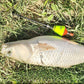 🎣Automatic Fishing Float &amp; Hook Setter
