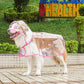 🐶☔ Transparent Dog Raincoat – Protection Against Rain and Wind