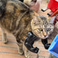 3D Cat Muscle Arm Pendant Funny Prank Toy 2026