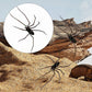 🕷️ Spider Fridge Magnets