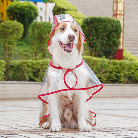 🐶☔ Transparent Dog Raincoat – Protection Against Rain and Wind