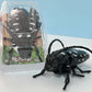Wind-up crawling insect toy realistic prank gadget fun decor 🐜